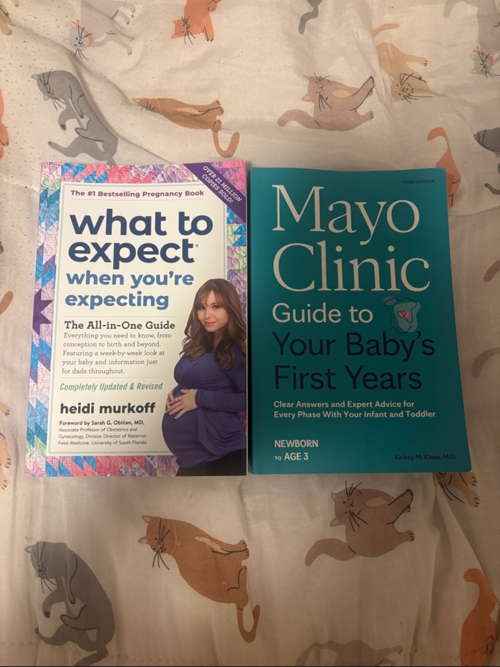 pregnancy book bundle